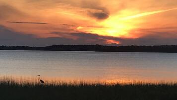 On the beach, sun loungers