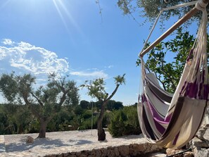 Terrain de l’hébergement 