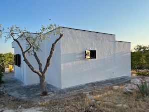 Ulkopuoli