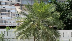 Una piscina con un macetero de palmera en el centro, rodeada por una valla blanca y diversas plantas.