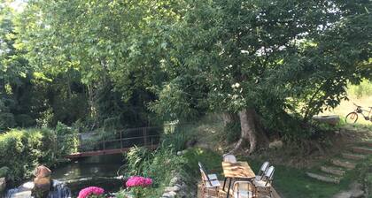 OLD 17th century OIL MILL in a 3500 m2 estate