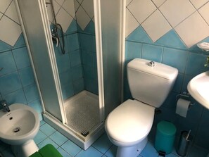 Shower, hair dryer, bidet, towels
