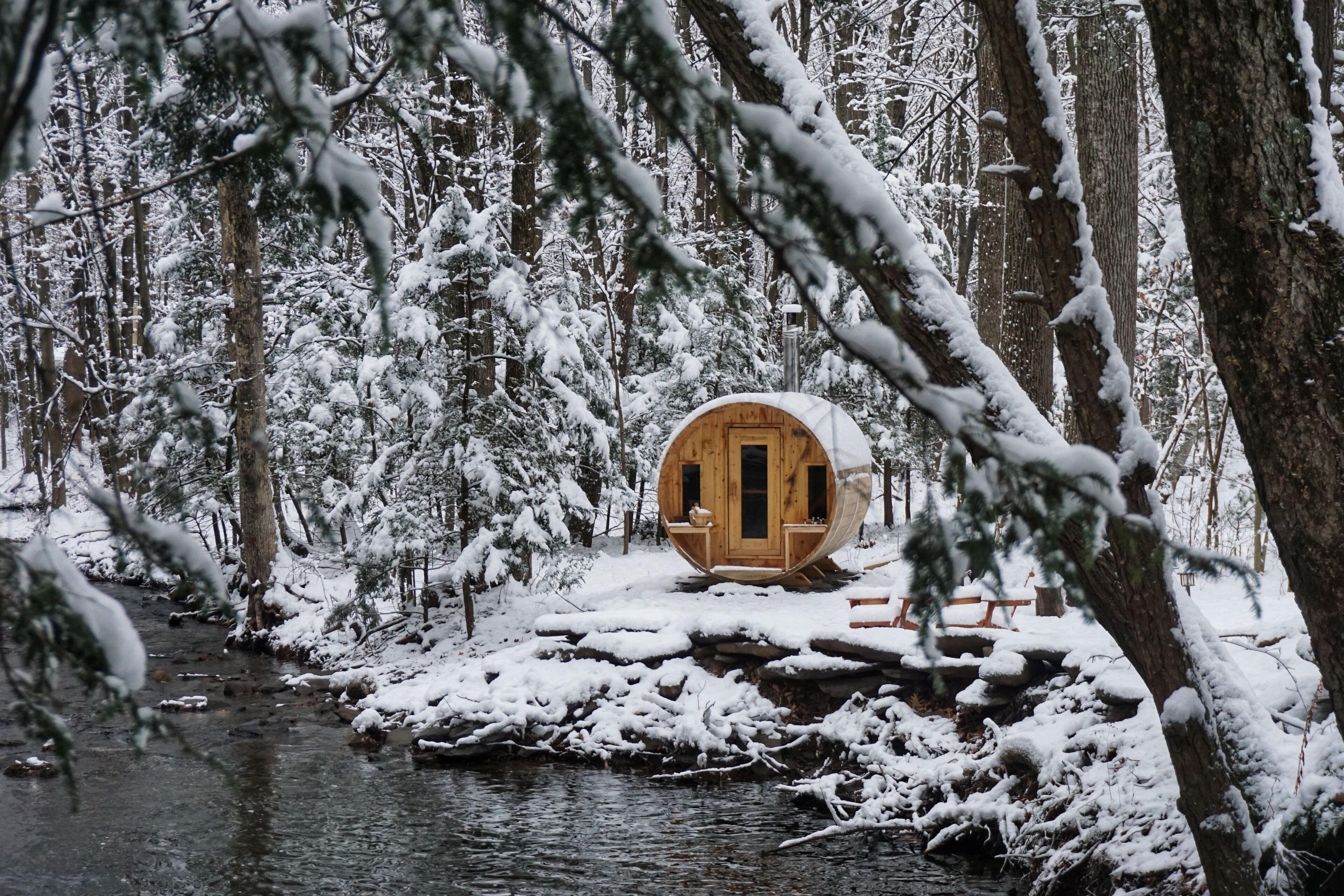 Winter Farmstay: Sauna, Animals & Mountain Views near Woodstock & Saugerties