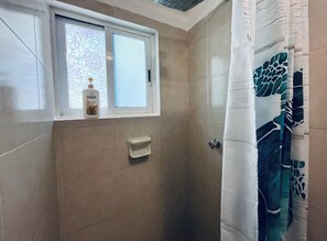 Shower, towels, toilet paper