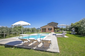 Une piscine avec des chaises longues et des parasols, une maison et une pelouse.