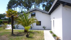 Een modern huis met een witte gevel, een schuin dak en een kleine voortuin met een palmboom en een betonnen pad.