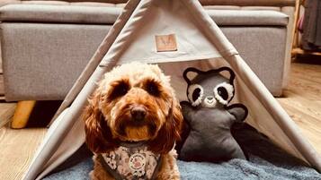 A dog inside a tent-like structure with a plush toy.
