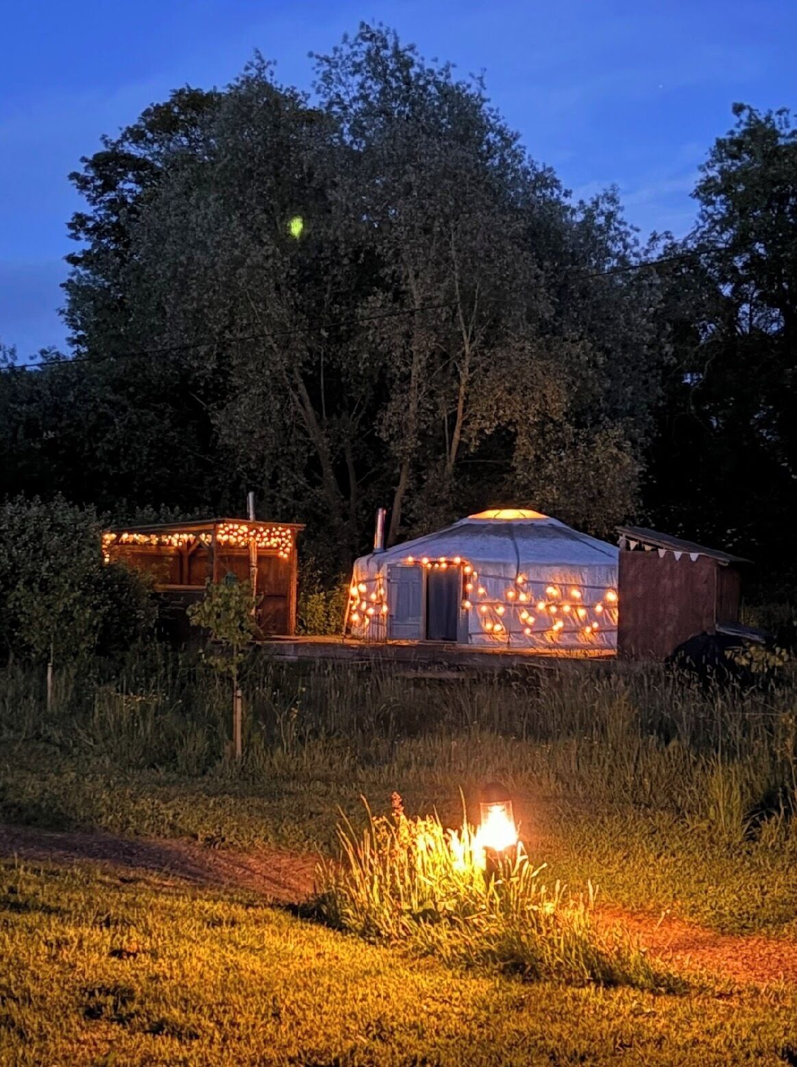 Eine rustikale Holzhütte mit Lichterketten, umgeben von Bäumen und einer grünen Wiese.