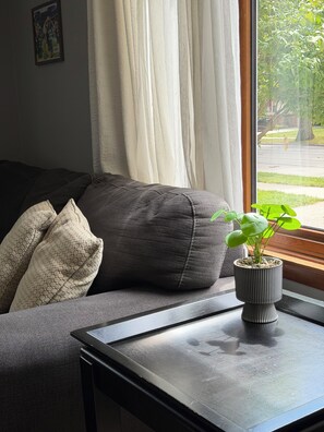 Une pièce avec un canapé gris, une petite table sur laquelle est posée une plante en pot, et une fenêtre avec des rideaux.