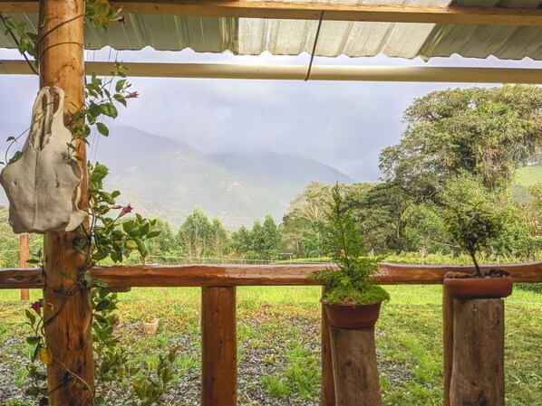 Property grounds - Beautiful country house, 20 minutes from Baños de Agua Santa (Baños de Agua Santa)