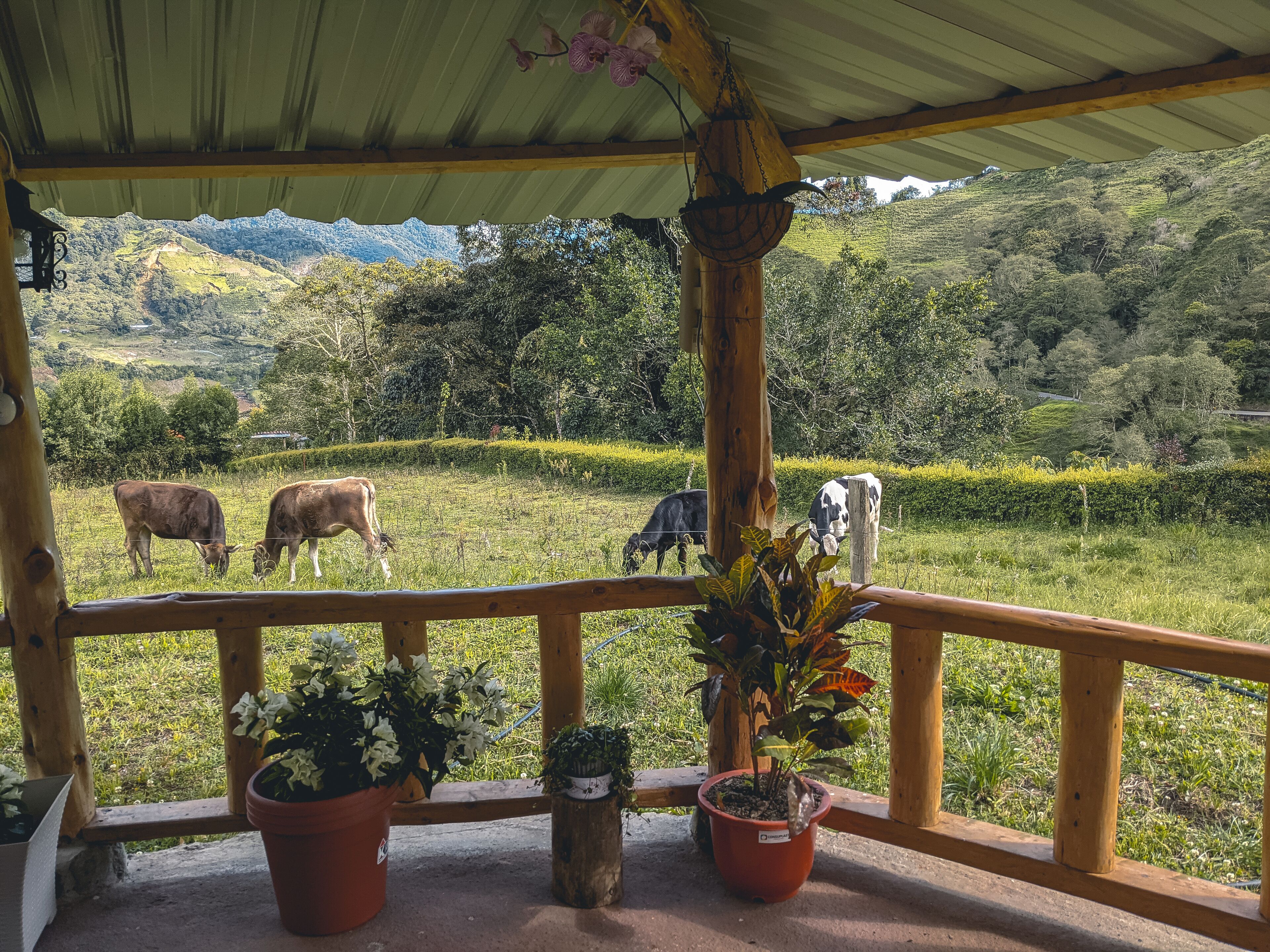 Áreas de la propiedad