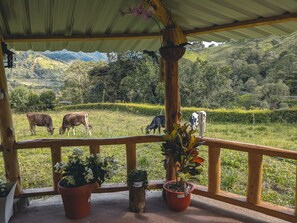 Property grounds - Beautiful country house, 20 minutes from Baños de Agua Santa (Baños de Agua Santa)