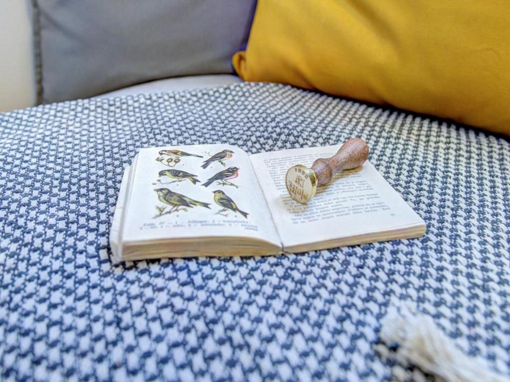 Un livre ouvert, illustré d’oiseaux, posé sur une surface en tissu aux motifs bleus et blancs.