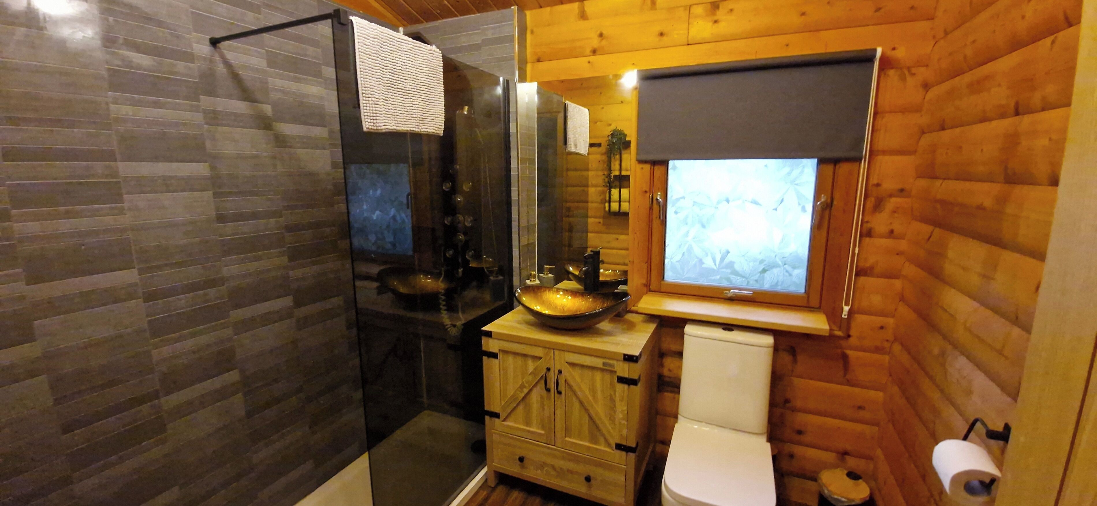 A bathroom with a glass shower enclosure, a wooden cabinet, a sink with a bowl, and a toilet.