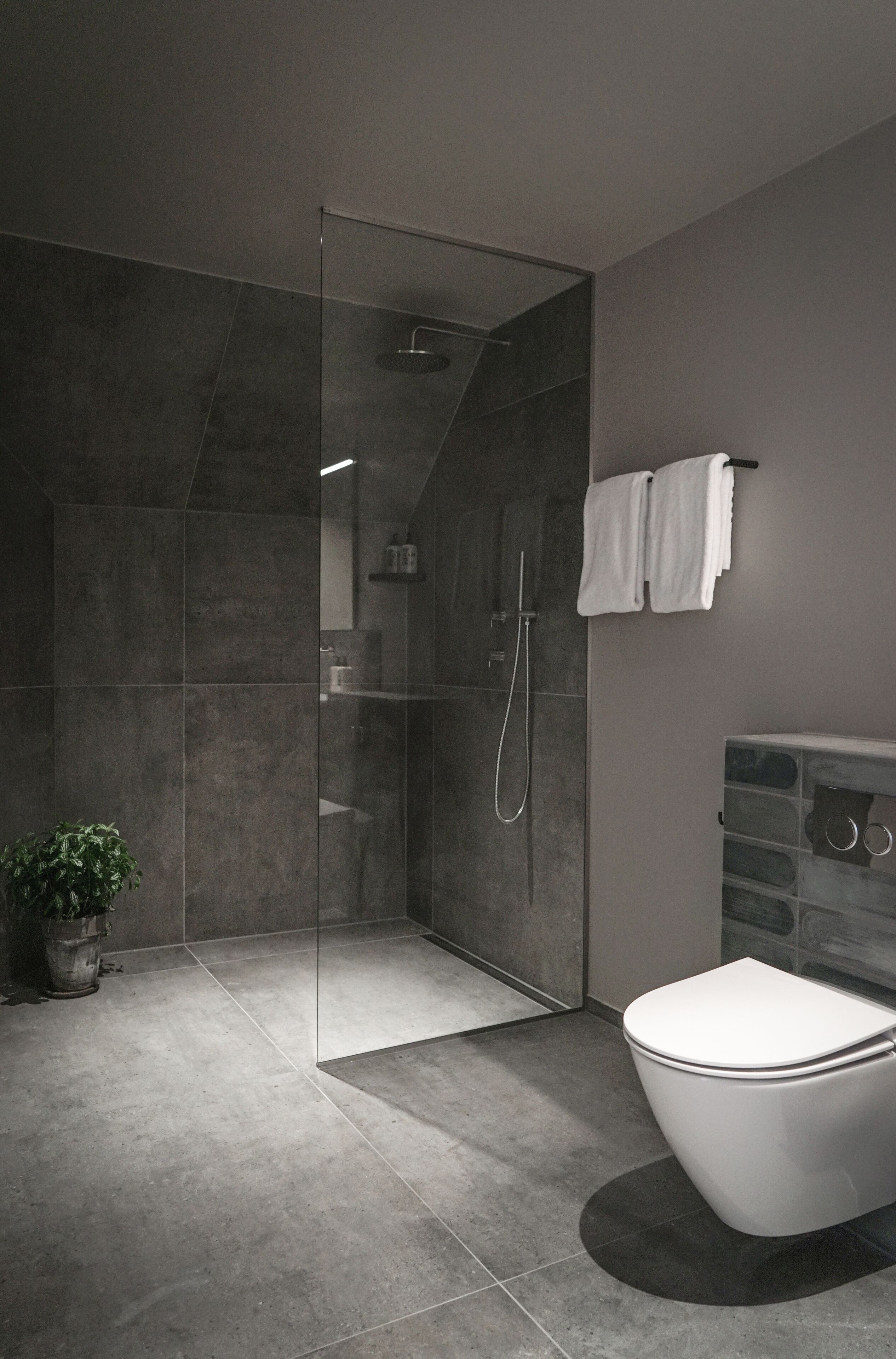 Un baño moderno con ducha de vidrio, inodoro blanco y una planta en maceta.