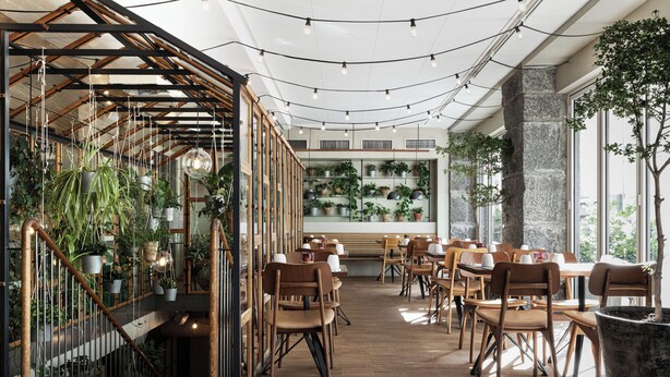 A restaurant with wooden floors, hanging plants, and a staircase.