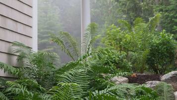 บ้านพัก, 3 ห้องนอน | บริเวณที่พัก