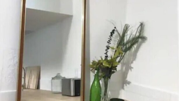 A room with a large mirror, a green vase with plants, and a small black container on a wooden surface.
