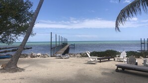 A beach with a wooden pier extending into the water, surrounded by palm trees and beach chairs.