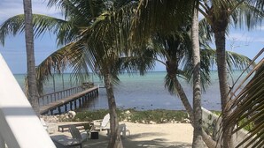 A beach view with palm trees, a wooden pier, and beach chairs.