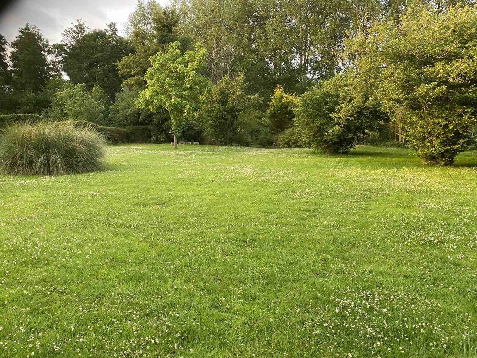 A grassy field with trees and bushes.