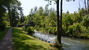 المنطقة المحيطة بالمنشأة