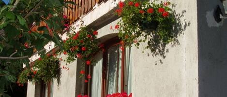 Detalle del exterior