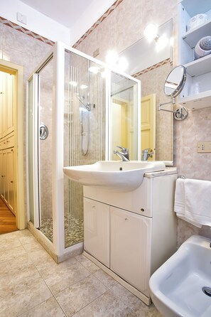 Bathtub, hair dryer, bidet, towels