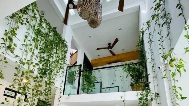 Property grounds - SuitesMB (Playa del Carmen)
