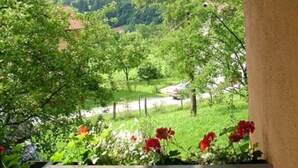 Blick von einem überdachten Balkon auf ein üppiges Tal mit Fluss und Bergen im Hintergrund.