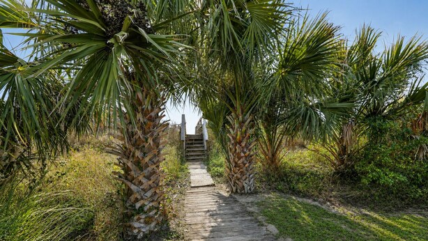 A wooden pathway leading to a staircase surrounded by palm trees. - Oceanfront Getaway - Private Boardwalk, Enclosed sun porch (Folly Beach)