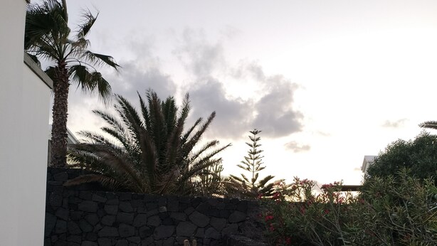 A garden with cacti and palm trees, a stone wall, and a paved path. - Luxury Villa With Private Pool heated pool FREE, And Garden, WIFI FREE (Yaiza)