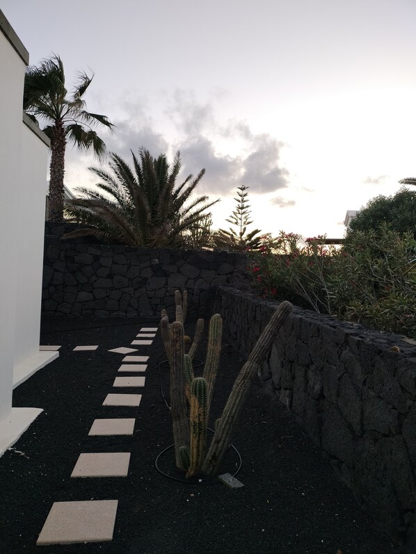 المنطقة المحيطة بالمنشأة