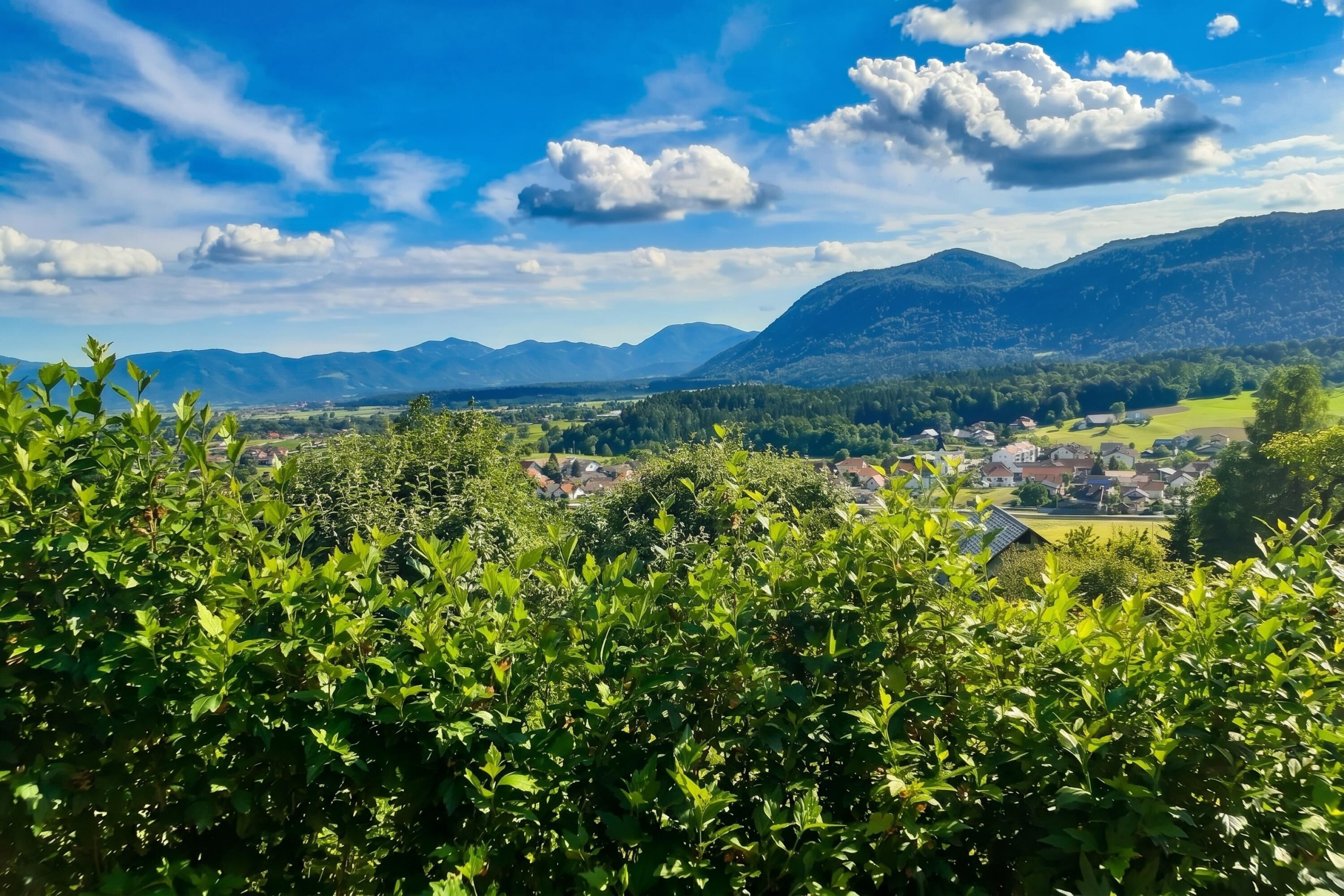 Paesaggio montuoso con un villaggio nella valle.
