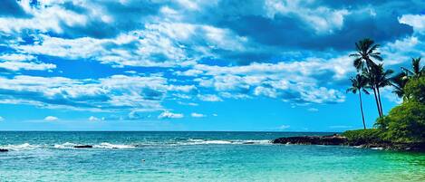 Ubicación cercana a la playa, tumbonas y toallas de playa