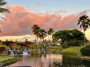 Property grounds - Oasis Awaits (Kapolei)