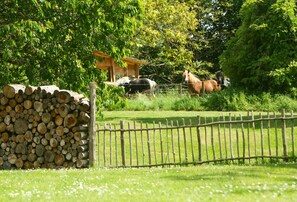 Parco della struttura