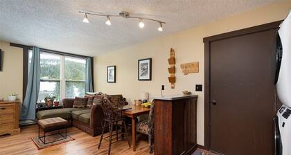 Condo walking distance to lifts/Mountain Village