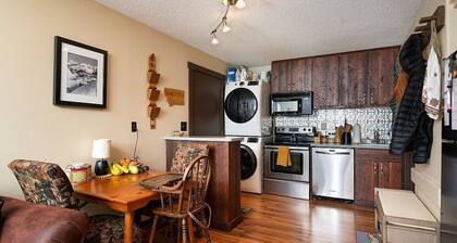 Condo walking distance to lifts/Mountain Village