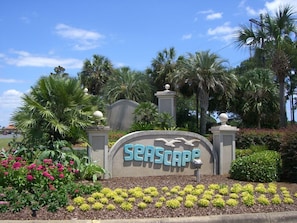 Welcome to Seascape Resort, set amidst lush tropical plants and palm trees.