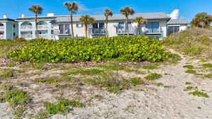 A beachfront hotel with multiple-story buildings, palm trees, and a sandy path leading to the entrance. - Green Palms Oceanfront 2 Bed Townhouse (Ponce Inlet)