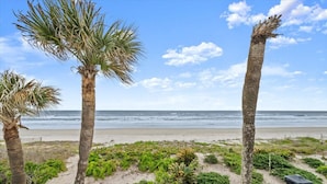 A beach view with palm trees and ocean. - Green Palms Oceanfront 2 Bed Townhouse (Ponce Inlet)