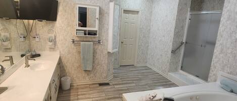 Shower, jetted tub, hair dryer, towels