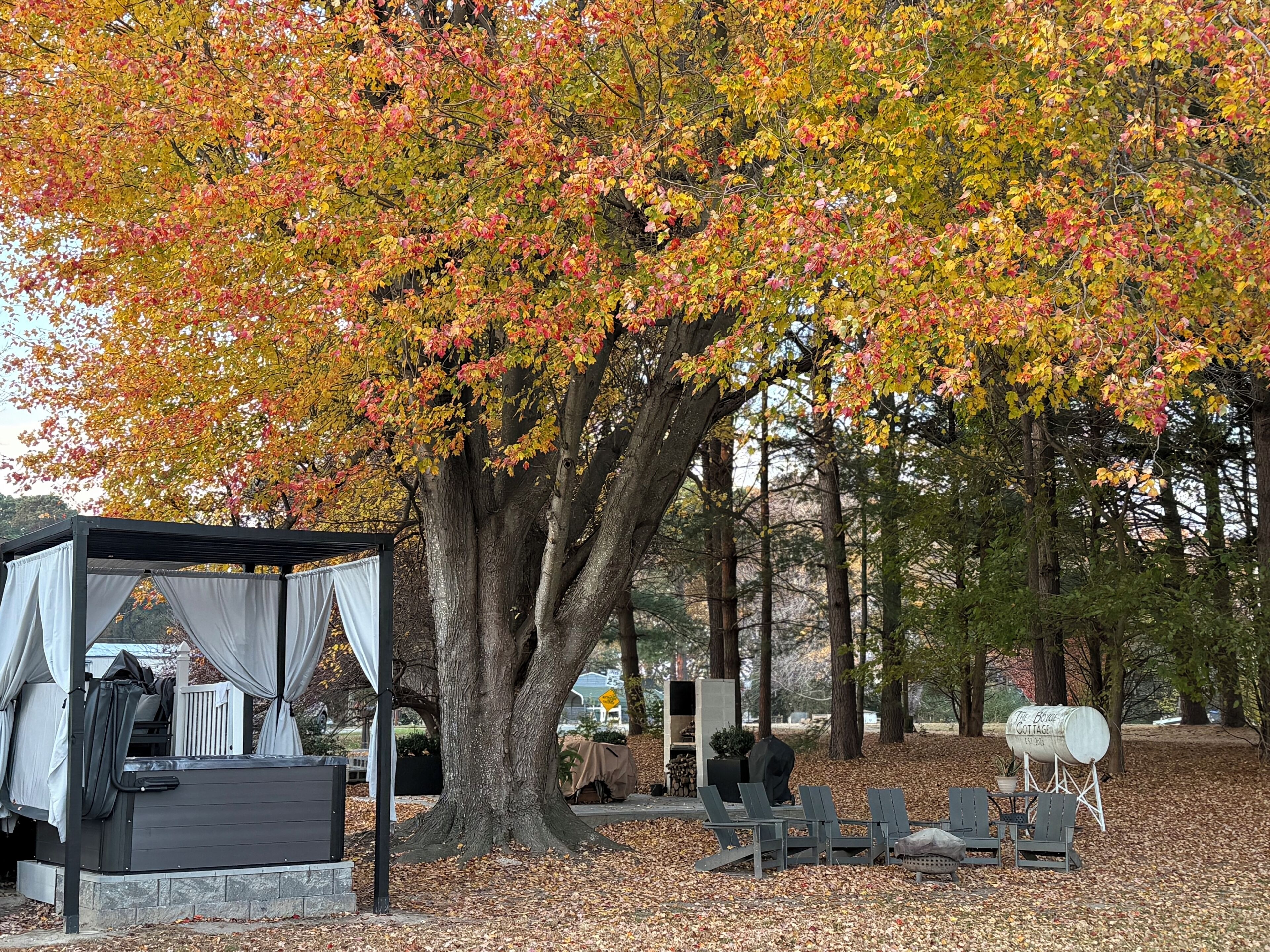 Um gazebo com tenda, área de estar externa e churrasqueira em meio à vegetação.