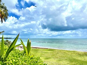 A coastal view with a grassy area, palm trees, and a clear sky. - Palmas del Mar Family Vacation Resort Spot!   (Palmas del Mar)