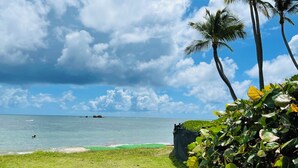 A grassy area with a view of the ocean and palm trees. - Palmas del Mar Family Vacation Resort Spot!   (Palmas del Mar)