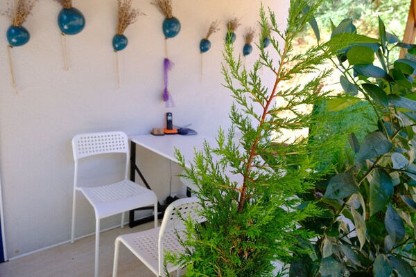 Selimiye 9 Oda - Orhaniye