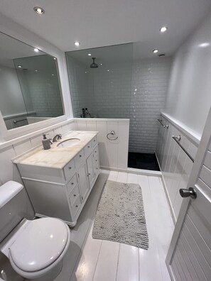 Shower, hair dryer, towels, soap