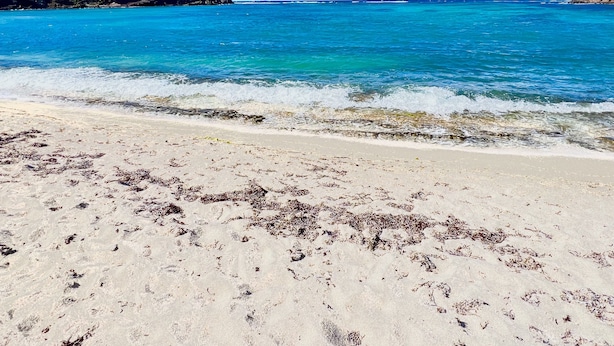 En strand med krystalklart turkis vand, sandet bredde og en bakke med vegetation i baggrunden.