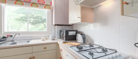 Apartment (1 Bedroom) | Private kitchen | Fridge, microwave, oven, stovetop